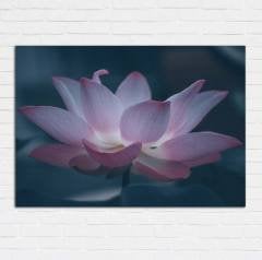 Lotus Çiçeği Kanvas Tablo