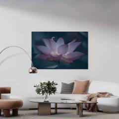 Lotus Çiçeği Kanvas Tablo
