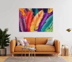 Renkli Tüyler 2 Kanvas Tablo 50X70