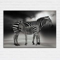 Zebra Kanvas Tablo