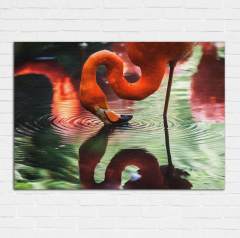 Flamingo Kanvas Tablo