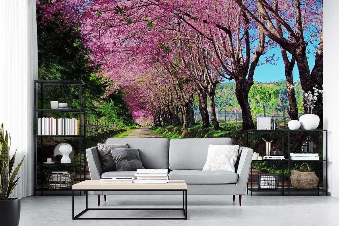Sakura Ağaçları  Duvar Kağıdı