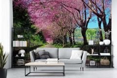 Sakura Ağaçları  Duvar Kağıdı