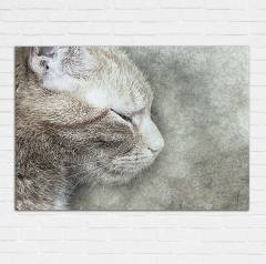 Gri Kedi Kanvas Tablo